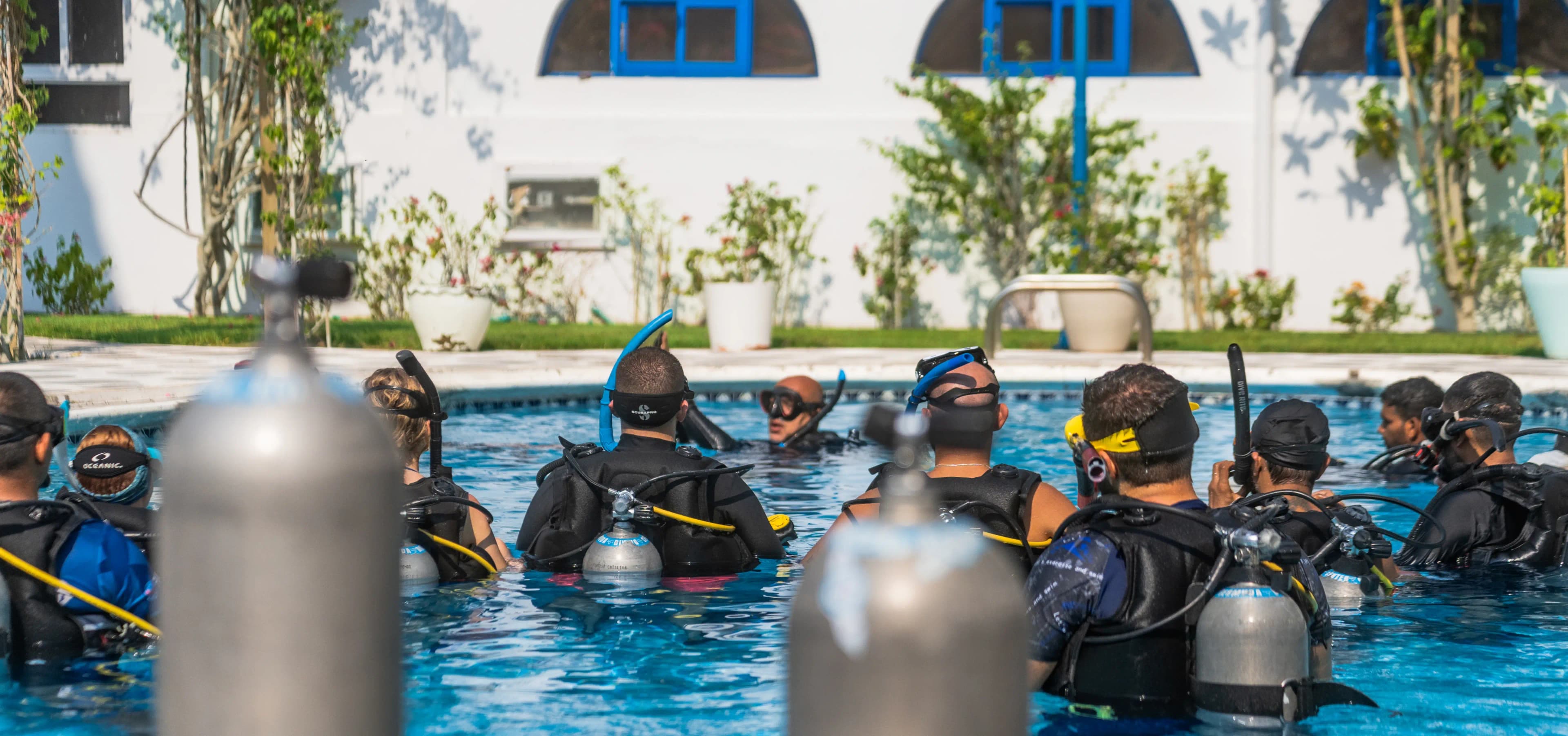 PADI IDC Staff Instructor Course Banner - Bermuda
