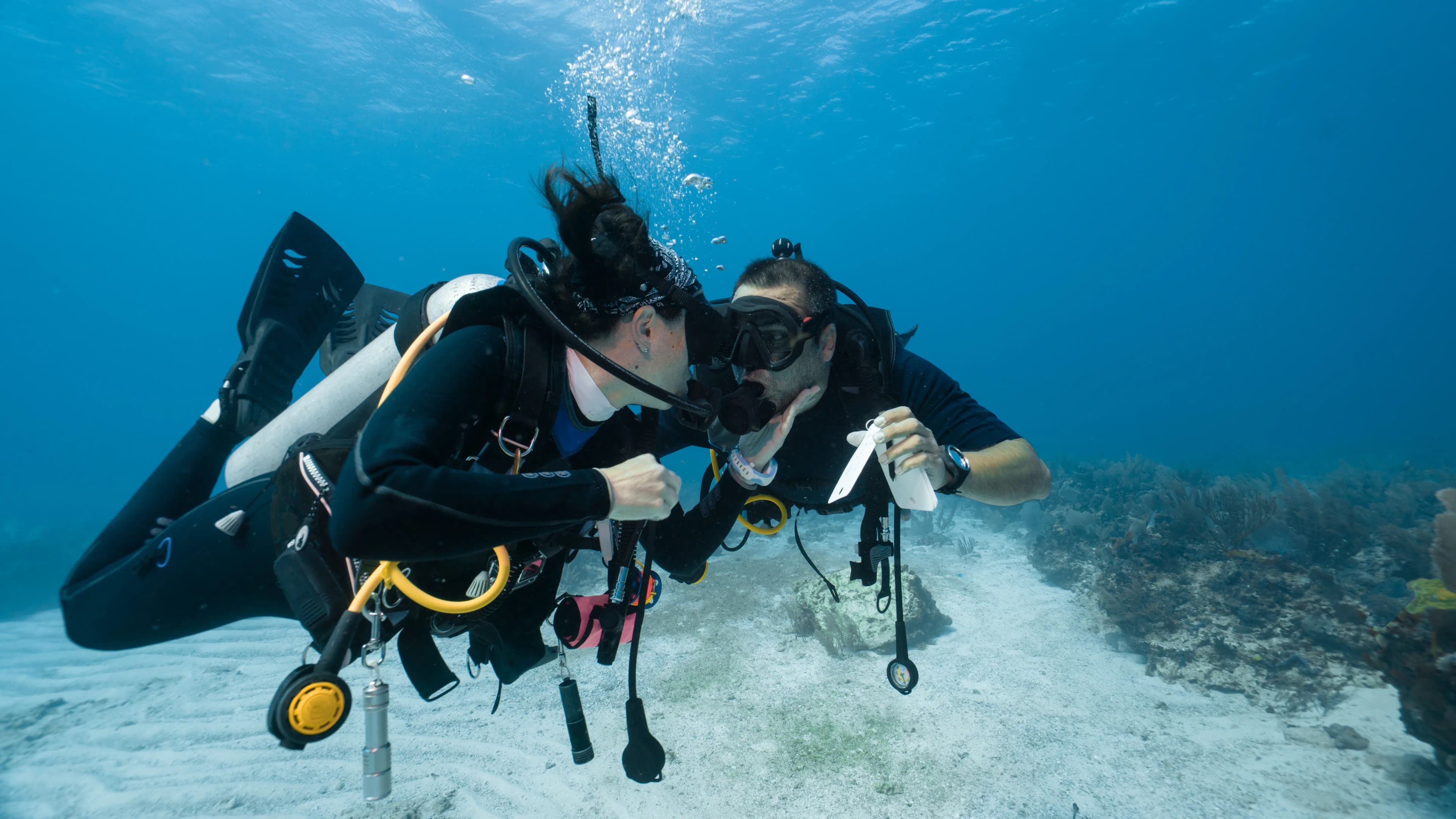Try Scuba Diving - Luxury Banner - Bermuda