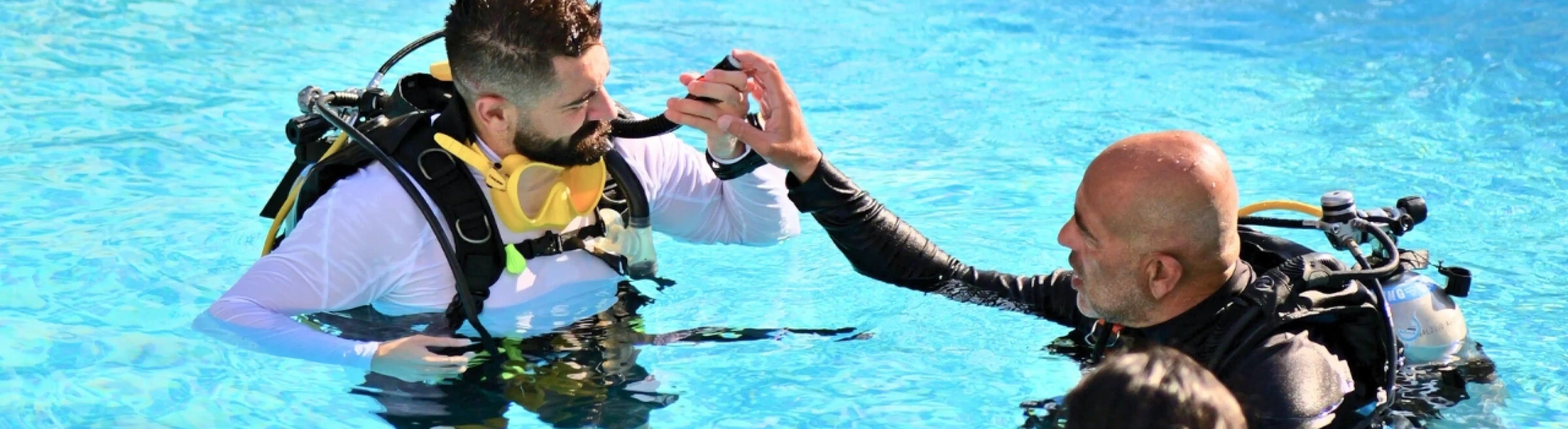 Bermuda Diving Center - Statistics